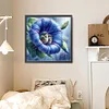uk.everydayedeals Diamond Painting - Full Round - Hummingbird