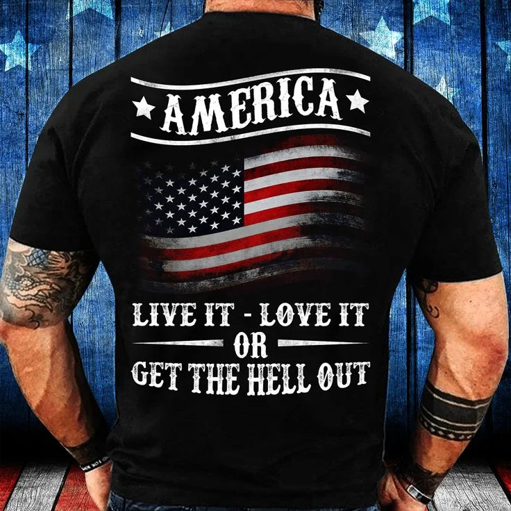 America Live It - Love It Or Get The Hell Out Flag Print Men's T-shirt