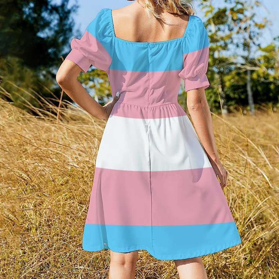 pink and blue skater dress Fitted Dress Trans Pride Dress Distressed Transgender Pride Flag Skater  Dress Trans Is Beautiful Skater Dress