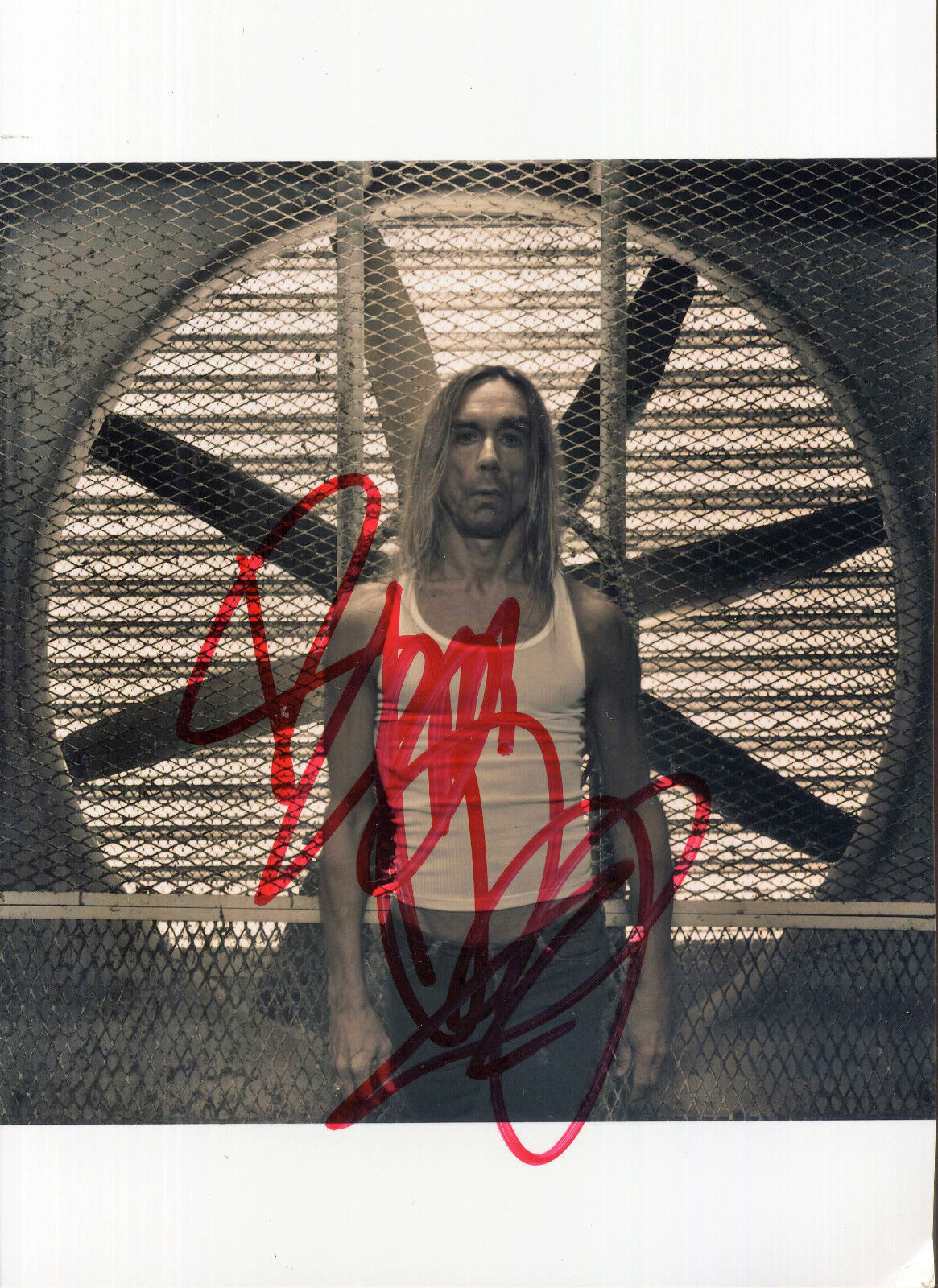 IGGY POP Signed Photo Poster paintinggraph - Punk / New Wave / Alternative / Indie - preprint