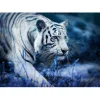 White Tiger | Full Round Diamond Painting Kits