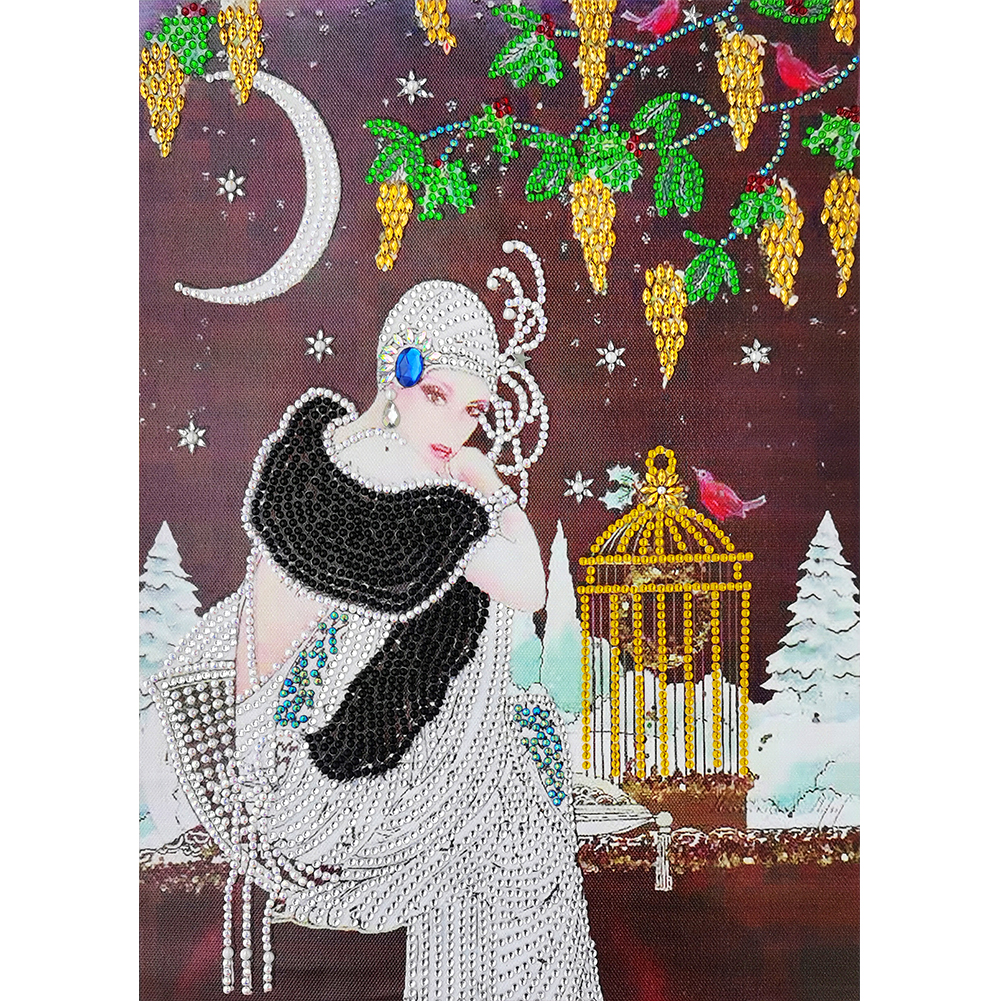 

Elegant Lady - Special Shaped Diamond Painting - 30*40CM, 501 Original