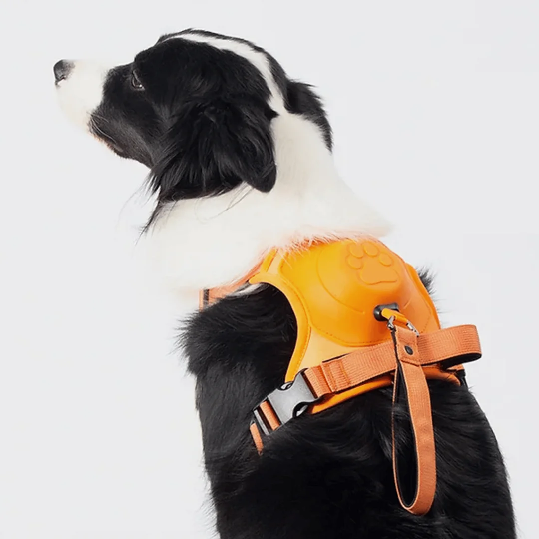 SmartPaw&trade;️ Harness + Leash - 2 in 1