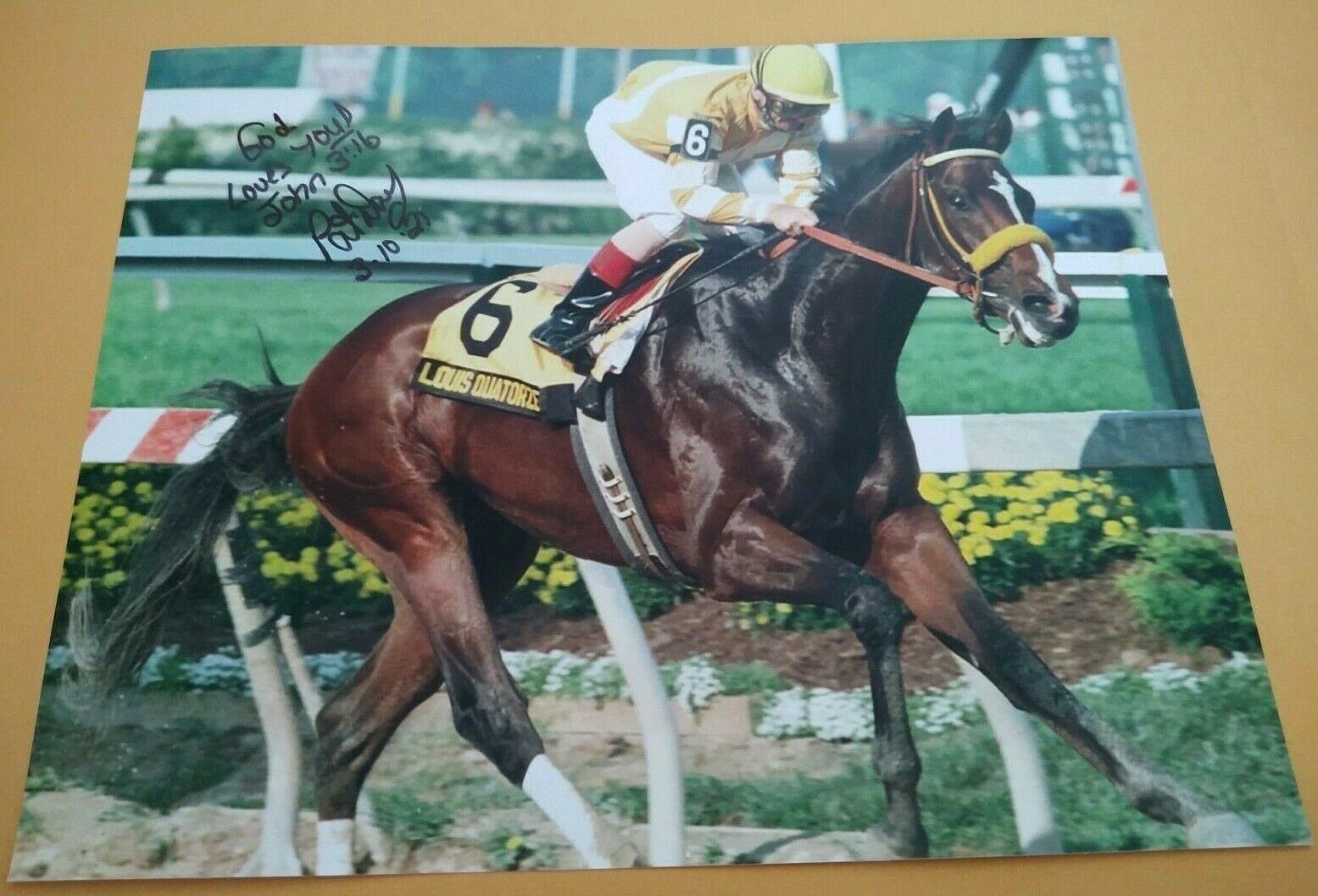 PAT DAY LOUIS QUATORZE 1996 PREAKNESS STAKES SIGNED 8x10 Photo Poster painting COA HORSE RACING