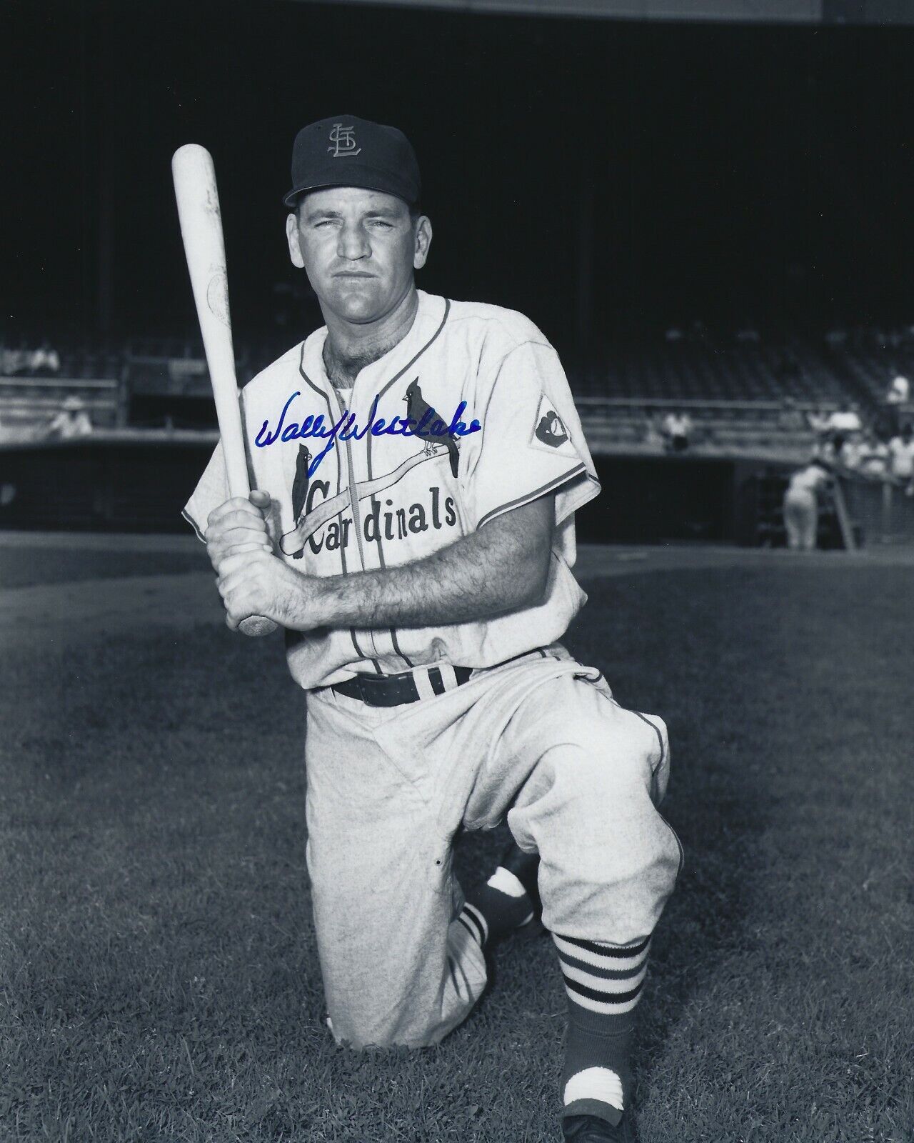 Signed 8x10 WALLY WESTLAKE St. Louis Cardinals Autographed Photo Poster painting - w/COA