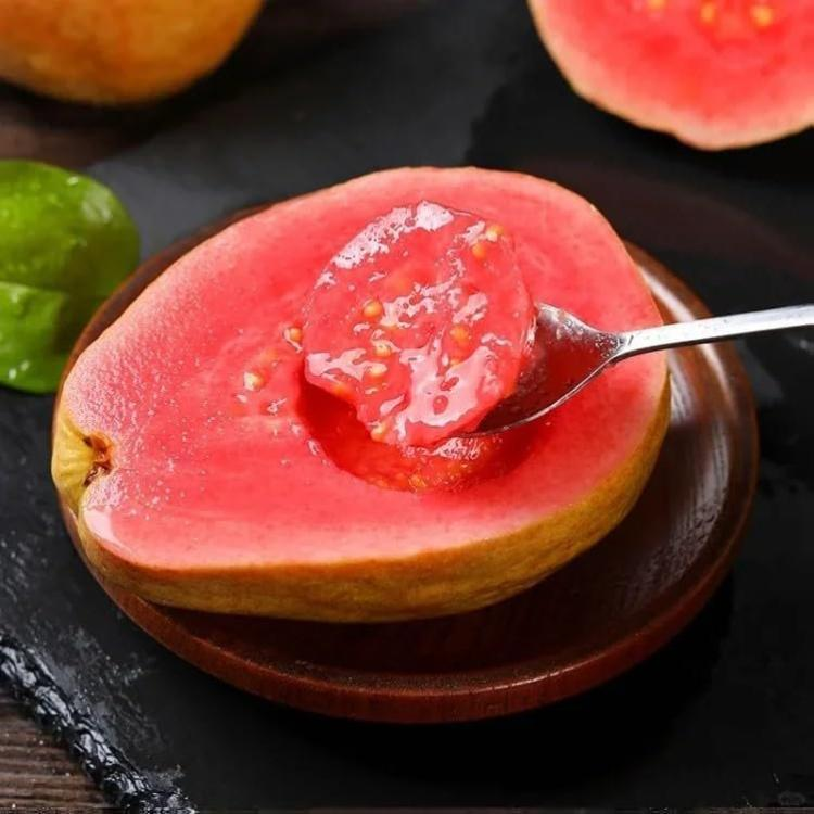 Pink Guava Seeds for Planting- Suitable for Pots,Greenhouses, and Outdoor Gardens