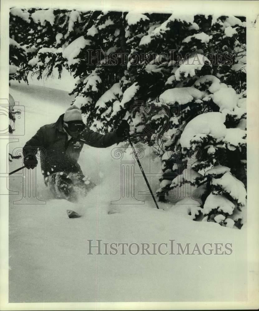 Press Photo Poster painting Snow skier sprays snow making a turn on the slopes in New York