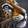 (US Only)Full Embroidery Beads Printed 9CT Leopard Head Cross Stitch Kit Decor 42x42cm
