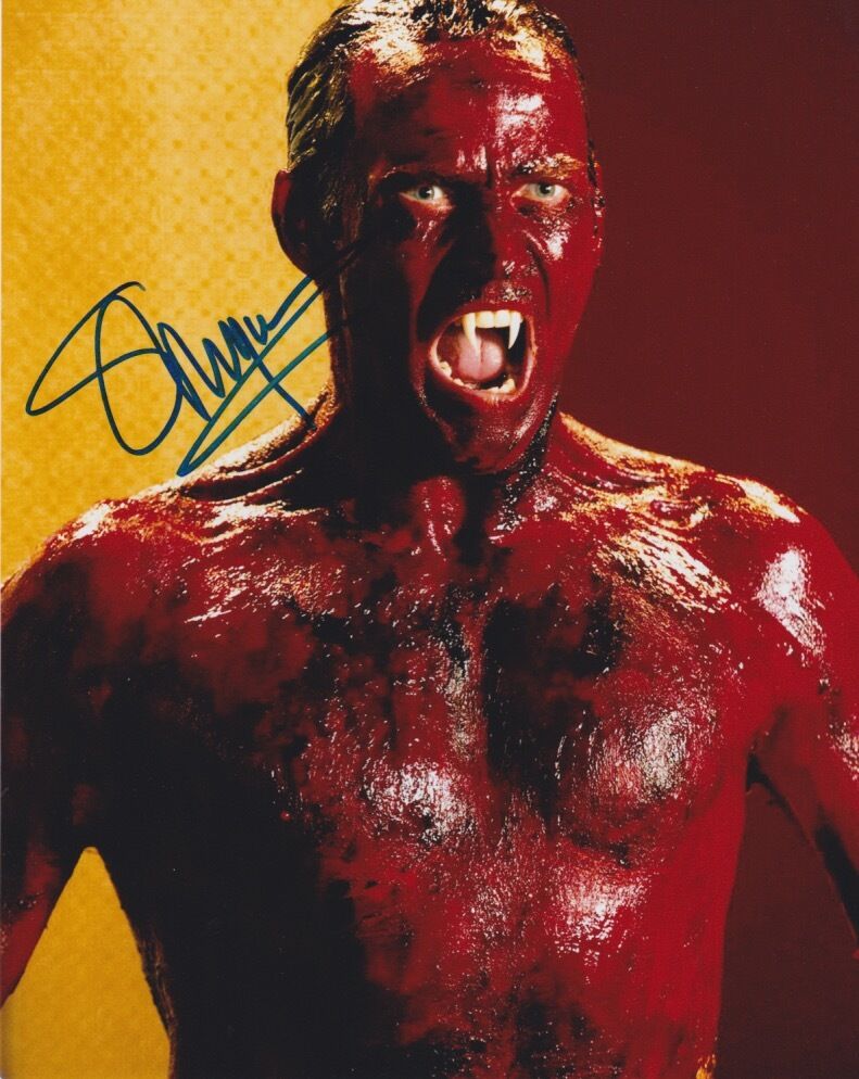 Stephen Moyer (True Blood) signed authentic 8x10 Photo Poster painting COA