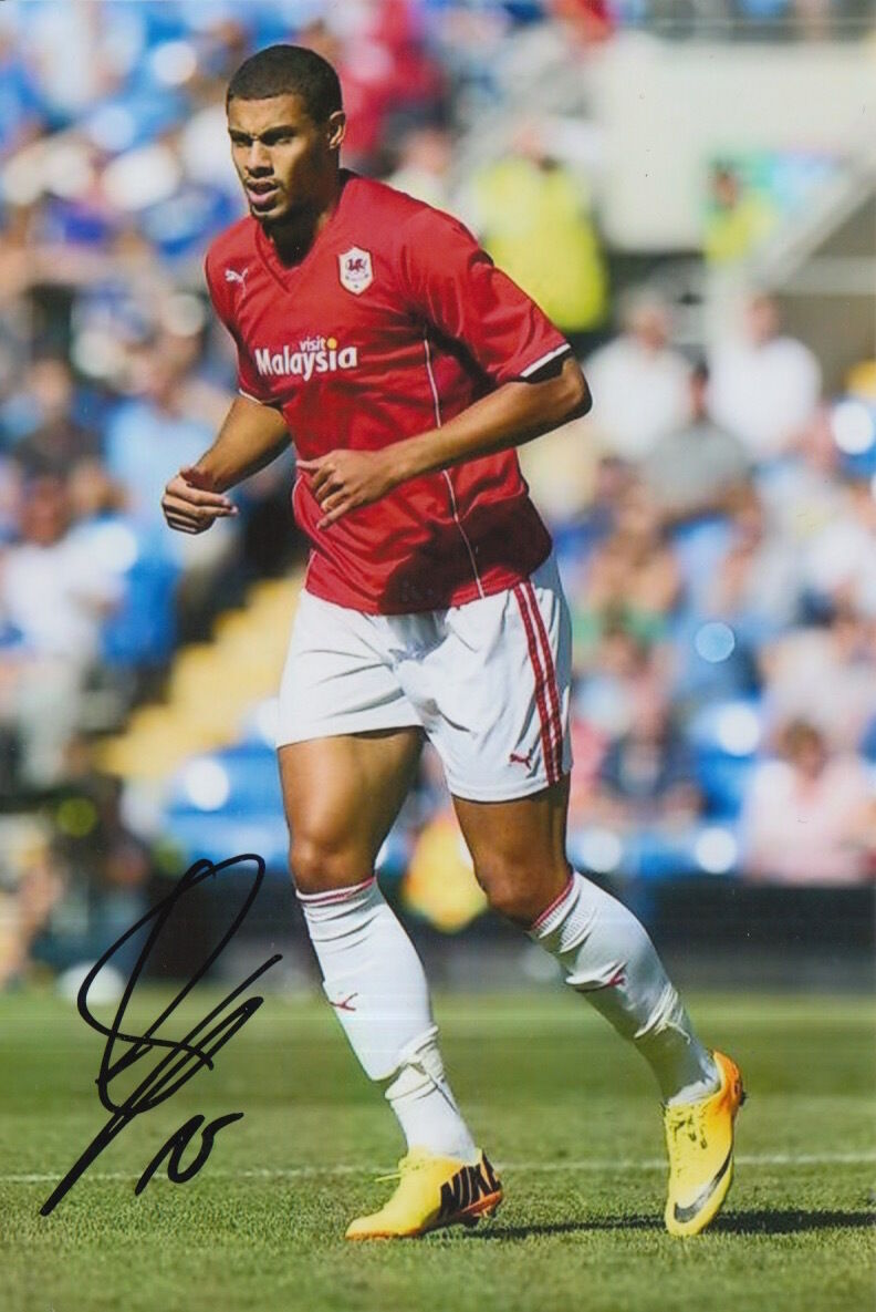 CARDIFF CITY HAND SIGNED RUDY GESTEDE 6X4 Photo Poster painting.