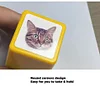 Send Pics to Customize Pet Stamp Retina Technique Super Detailed Cat Profile Stamp
