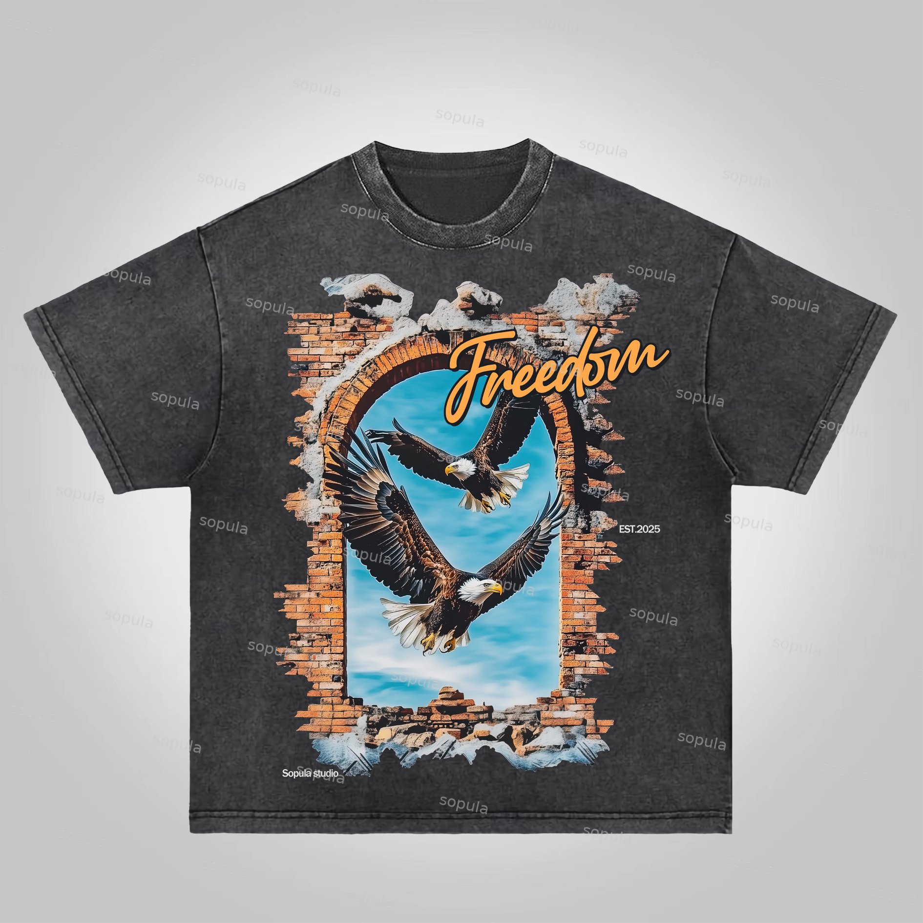 Sopula Wings Of Freedom Acid Washed T-Shirt - SOPULA