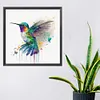 Colorful Bird-Paint By Numbers Acrylic Painting 40*40CM