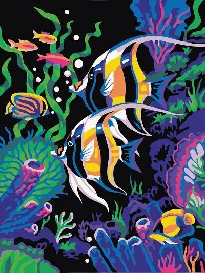 Animal Fish Paint By Numbers Kits UK For Beginners PH9450