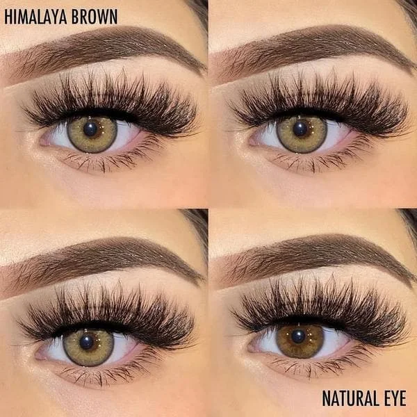 Beacolors Himalaya Brown