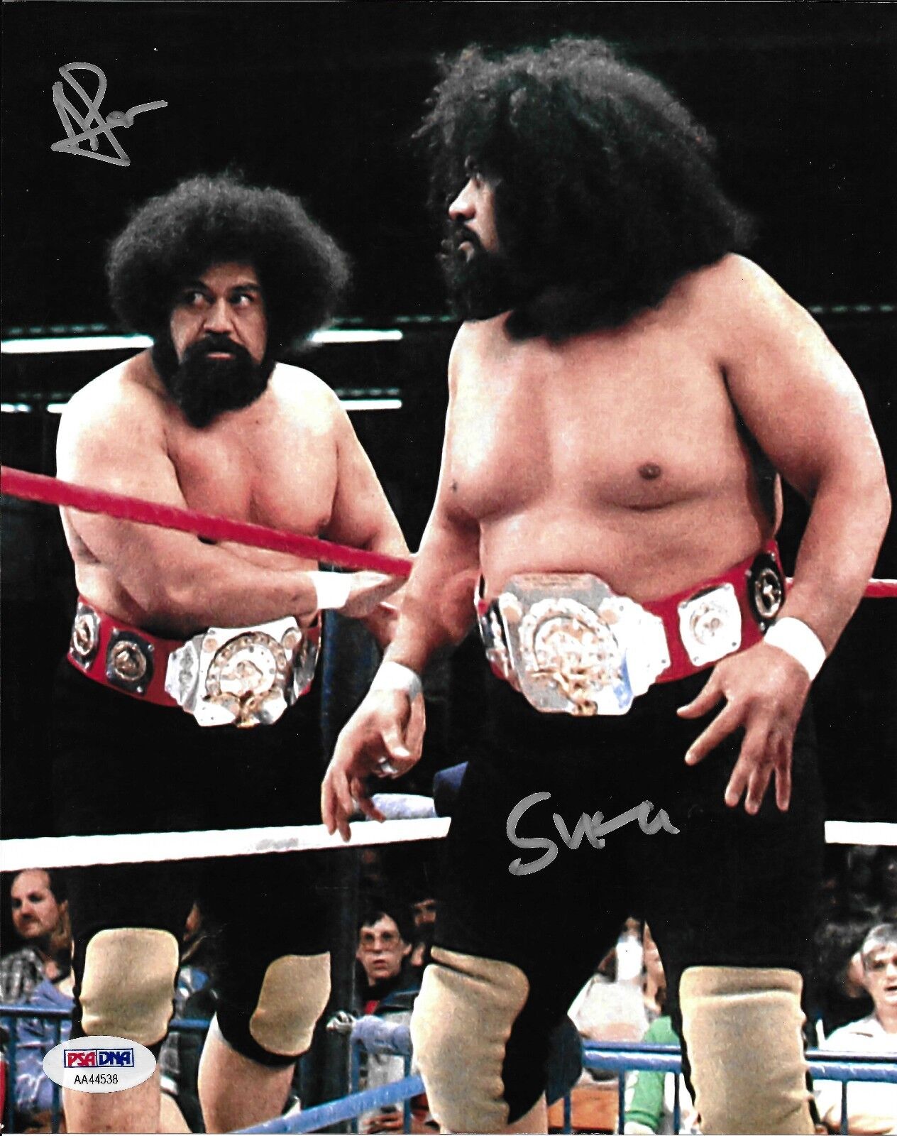 Afa & Sika The Wild Samoans Signed WWE 8x10 Photo Poster painting PSA/DNA COA Picture w/ Belts