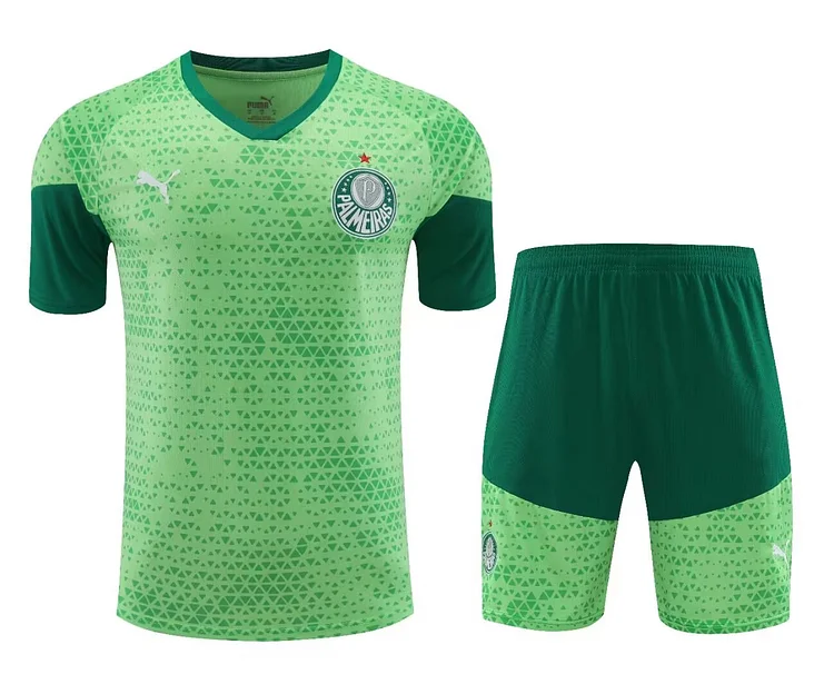 2024/25 Palmeiras training kit
