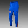 Joyfball 2024 Netherlands Half-Pull Training Suit Colorful Blue Football Shirt 1:1 Thai Quality