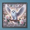 Owl And White Rose-Full Round Diamond Painting 30*30CM