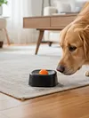 Slow Feeder Dog Bowl for Liquid Treat Bone Broth Dog Lick Bowl Entertained Ball-in Yogurt Pup Lick Toy for Small and Medium Breeds