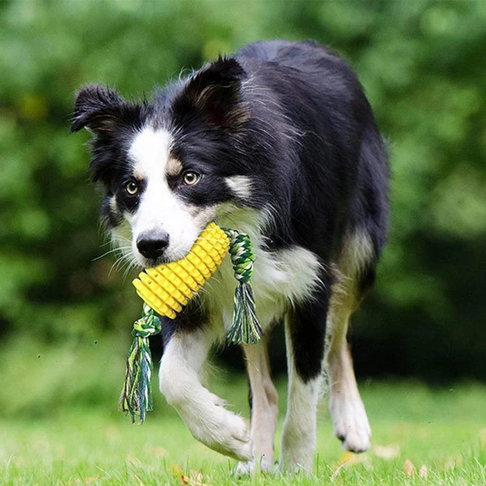 Lovepetplus Whistle Dog Chew Corn Toys - Good For Teeth (Buy 2 Free Shipping)