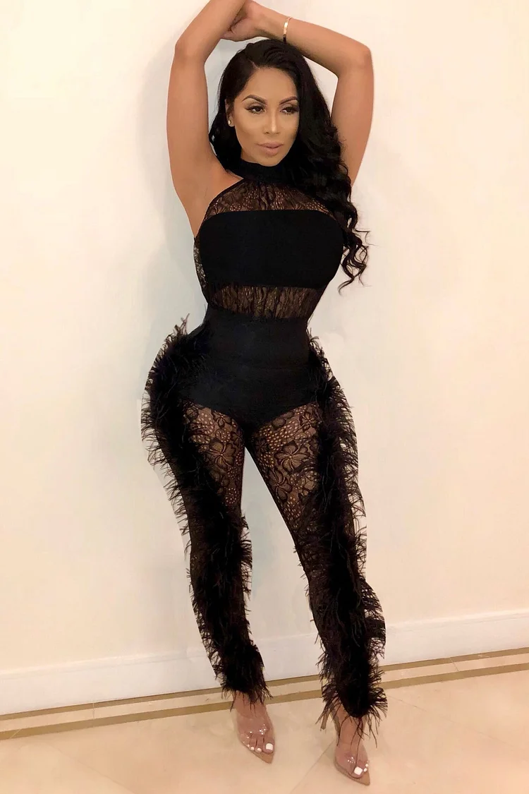 See Through Sleeveless with Feather Side Stitching Jumpsuit