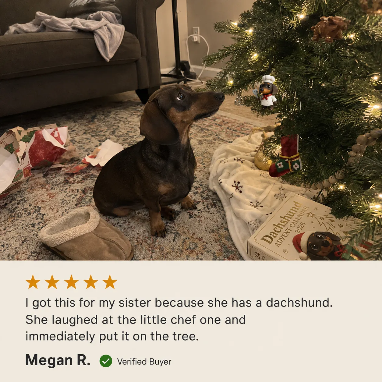 Verified customer review from a dachshund family