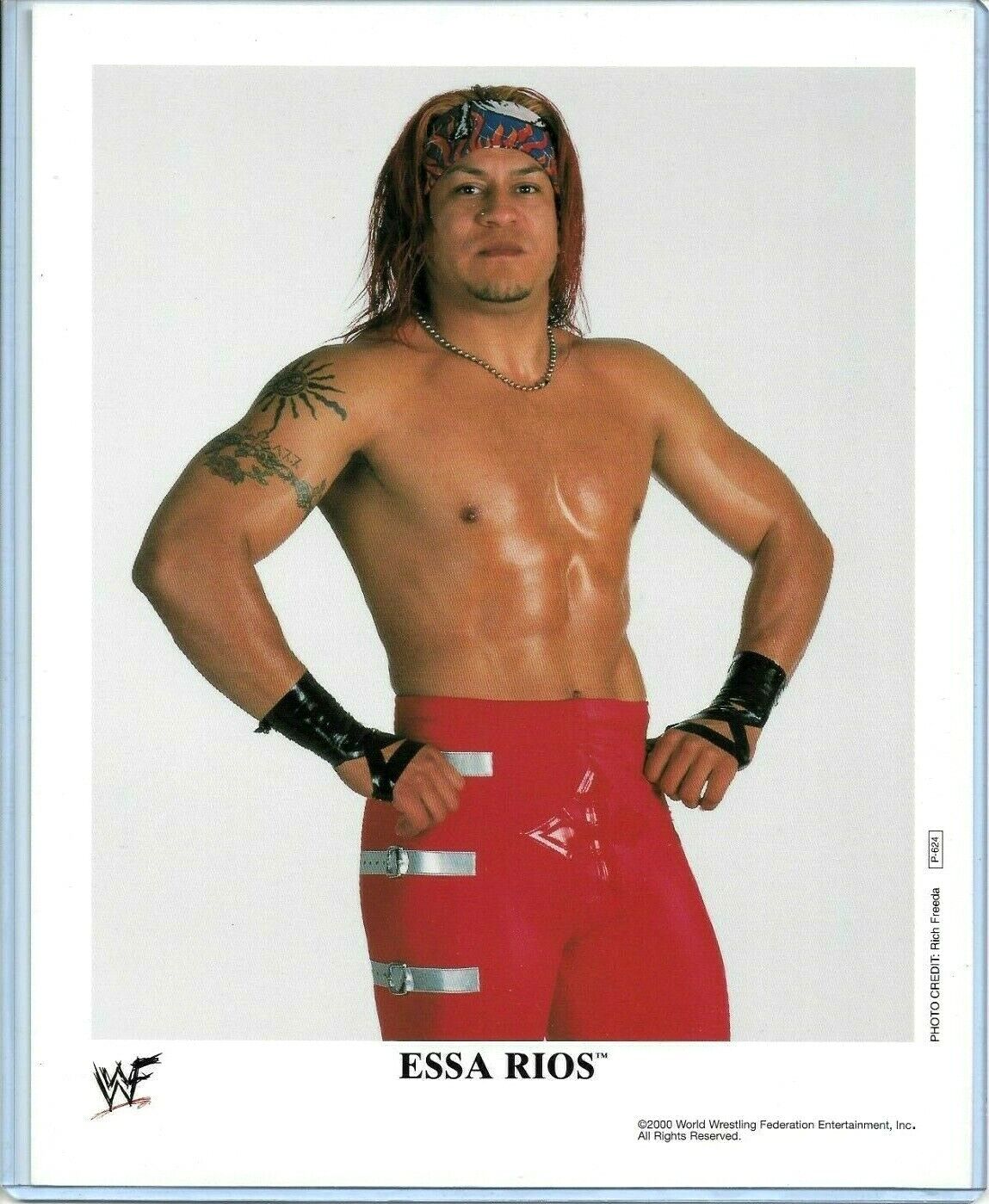 WWE ESSA RIOS P-624 OFFICIAL LICENSED AUTHENTIC ORIGINAL 8X10 PROMO Photo Poster painting RARE