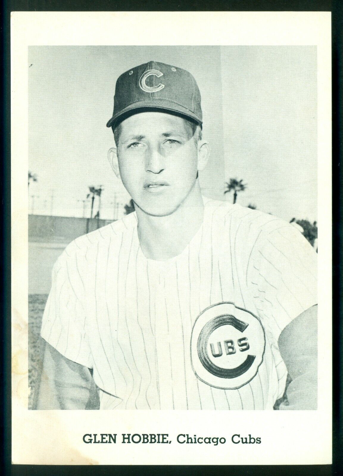 Original 1960's Glen Hobbie CHICAGO CUBS Team Issue B&W Photo Poster painting Card sz 5X7 EX