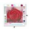 Rose  | Full Round Diamond Painting Kits