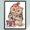 >SALE<Embroidery Eco-cotton Thread 14CT Printed Learning Owl Cross Stitch 22x30cm