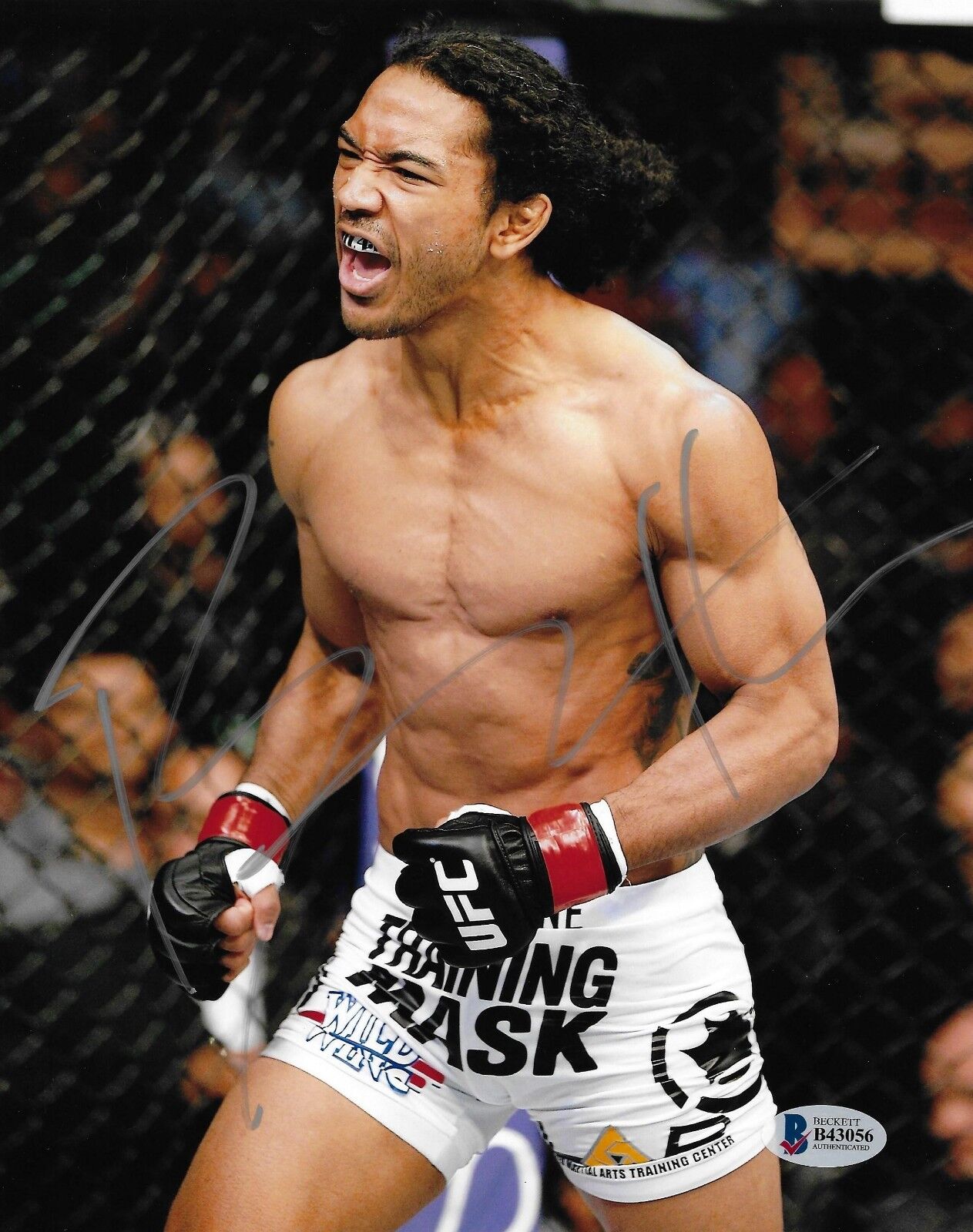 Benson Henderson Signed 8x10 Photo Poster painting BAS Beckett COA UFC MMA Picture Autograph 5