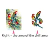 Colorful Birds-Partial Round Diamond Painting