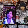 Prince - Panneaux en &eacute;tain m&eacute;tallique(20*30cm/30*40cm) - Musique