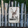 Funny Nice Ass Donkey - Vintage Metal Signs - 20*30cm/30*40cm - Movie