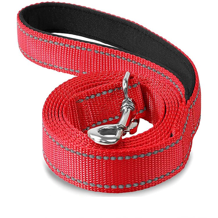 Reflective Dog Leash with Soft Padded Handle for Training