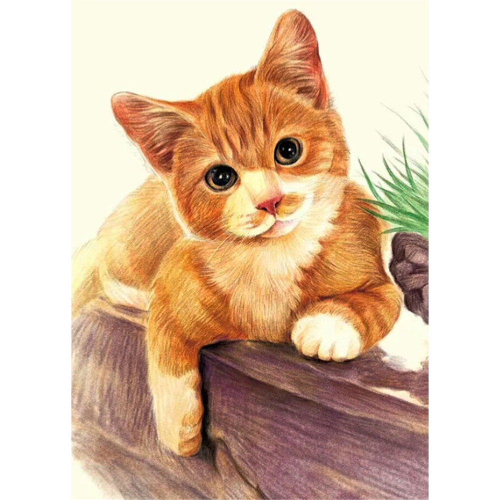 

Yellow Cat - Round Drill Diamond Painting - 30*40CM, 501 Original