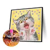 Funny Cat 5D DIY Diamond Painting Special-shaped Partial Drill Decor (YXC378)