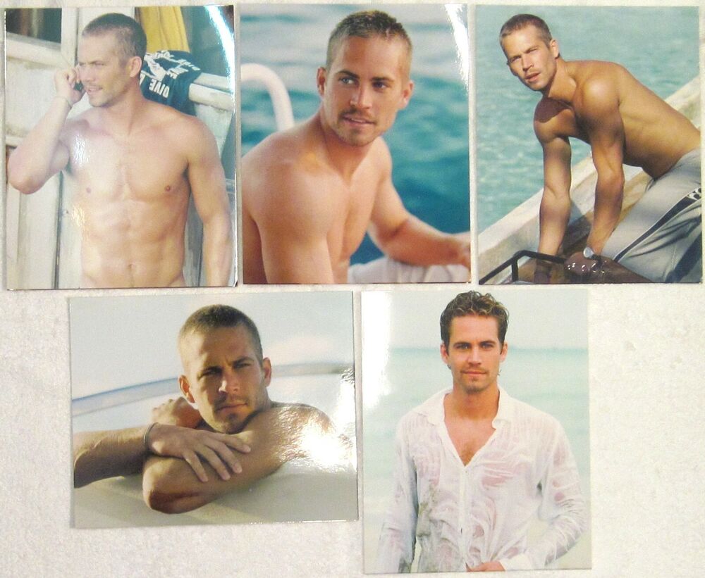 PAUL WALKER 8x10 COLOR Photo Poster painting LOT nice small collection INTO THE BLUE no shirt