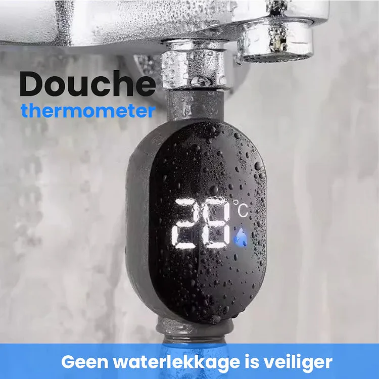Shower thermometer