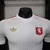 Joyfball 2025/2026 Player Version Lyon Anniversary Edition Football Shirt（The player version jersey is a bit tight, please pay attention to the size selection）