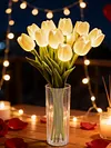 Twinkling Tree Tulips