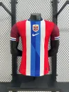 2024 Player Norway Soccer Jersey Home