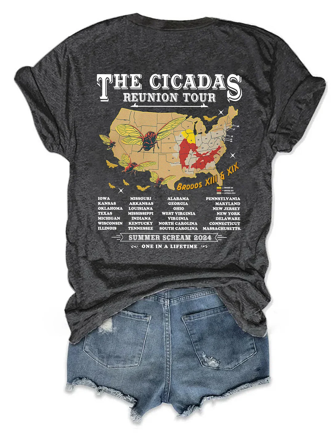 Cicadas Summer Scream Reunion Tour 2024 T-shirt