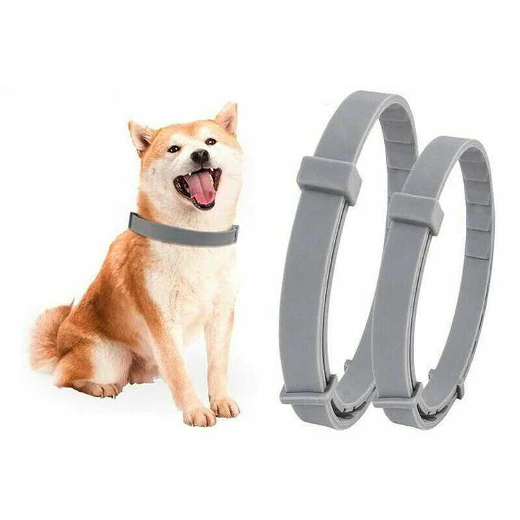 Adjustable Pet Insect Repellent Collar | 168DEAL