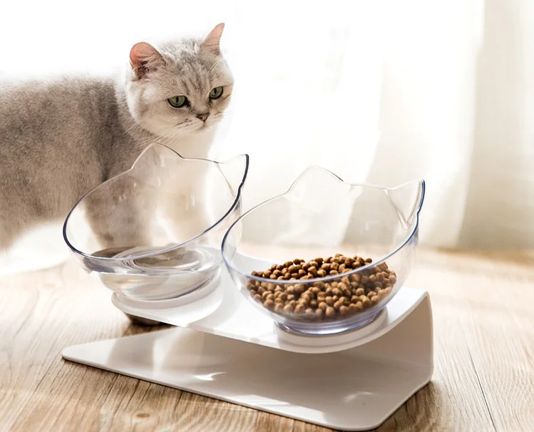 Non-Slip Double Cat Bowl With Stand 1