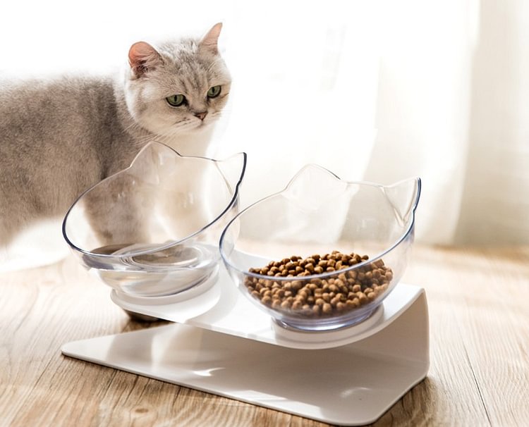 Non-Slip Double Cat Bowl With Stand 1