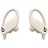Beats 无线蓝牙耳机 Beats Powerbeats Pro Totally Wireless Earphones (Black)