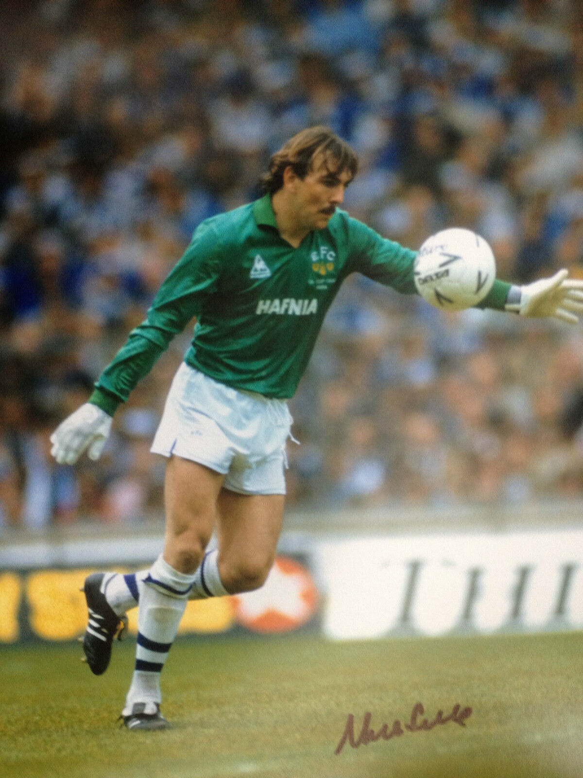 NEVILLE SOUTHALL - EVERTON & WALES GOALKEEPER - SUPERB SIGNED COLOUR Photo Poster painting