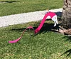 Decorative Arts-Dancing Yard Flamingo🦩-mysite-Adracos